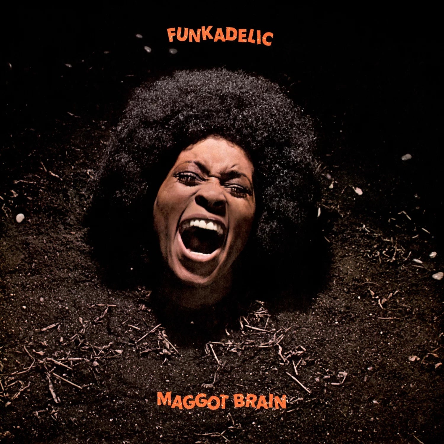 Funkadelic ~ Maggot Brain