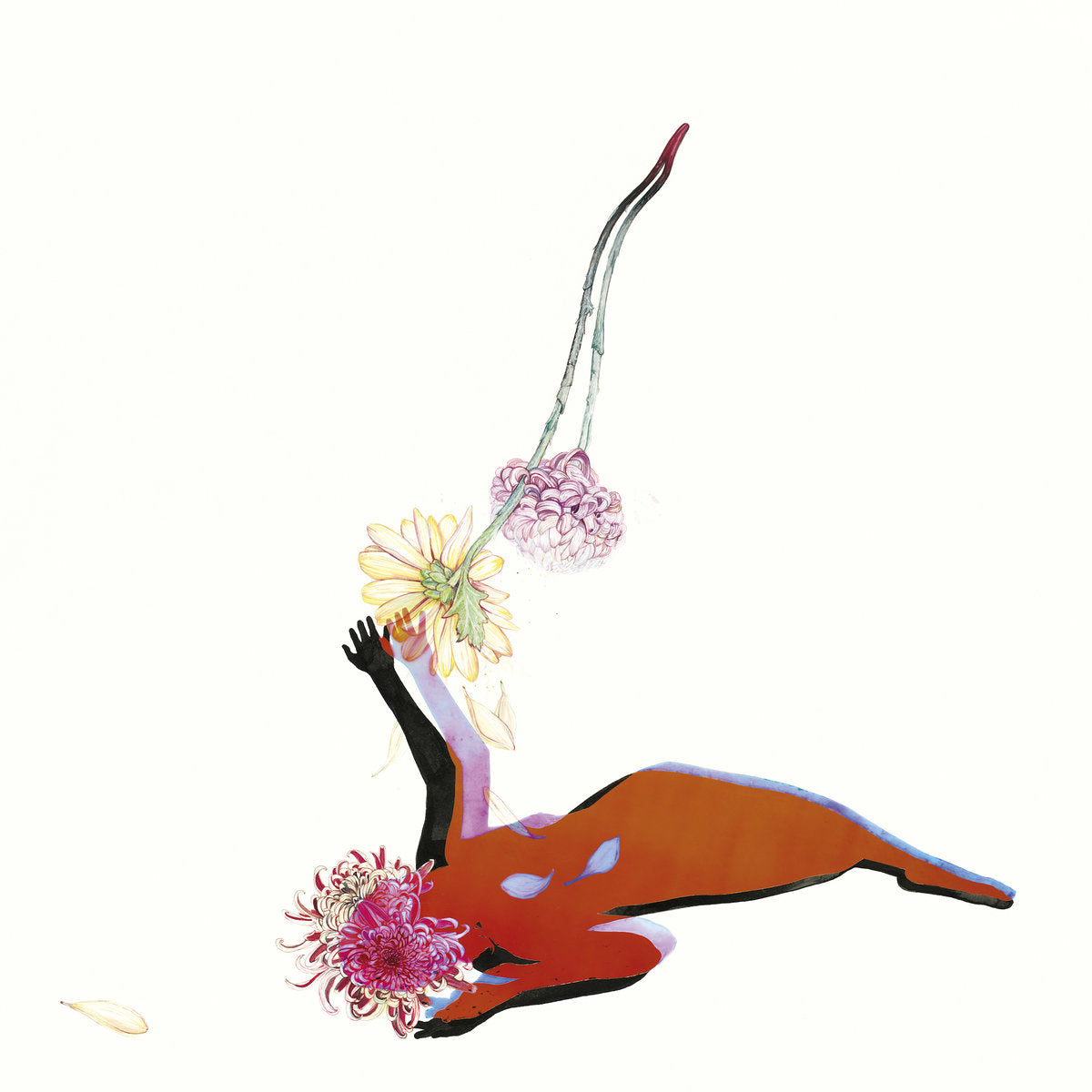 Future Islands ~ The Far Field (Vinyl) - Djungel & Jazz