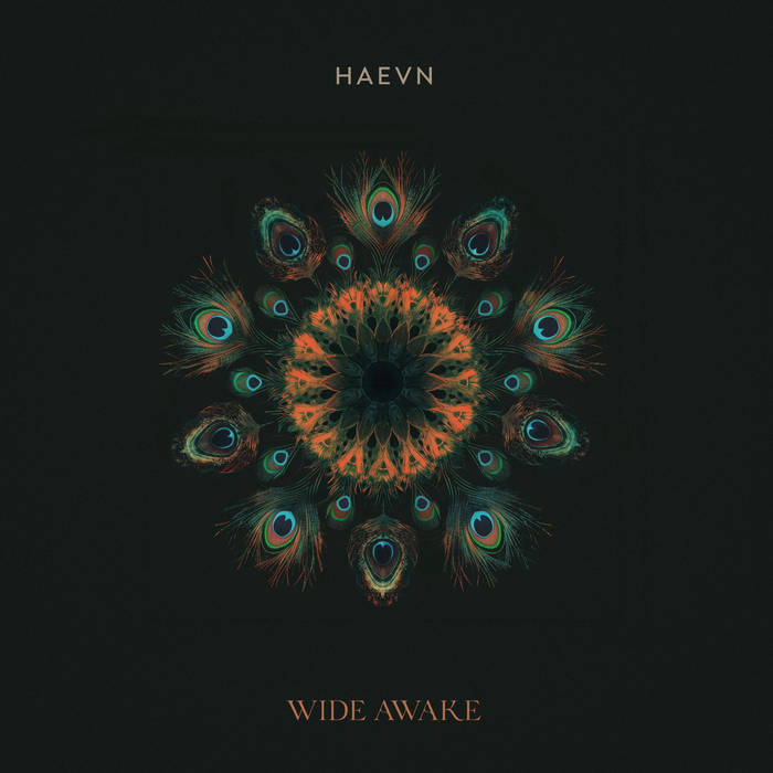 Haevn ~ Wide Awake (Vinyl) - Djungel & Jazz