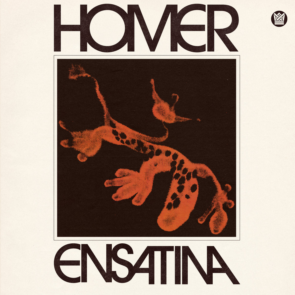 Homer ~ Ensatina