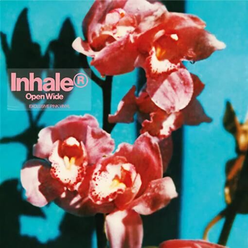 Inhaler  ~ Open Wide (Vinyl) - Djungel & Jazz