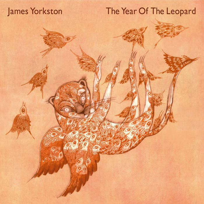James Yorkston ~ The Year Of The Leopard