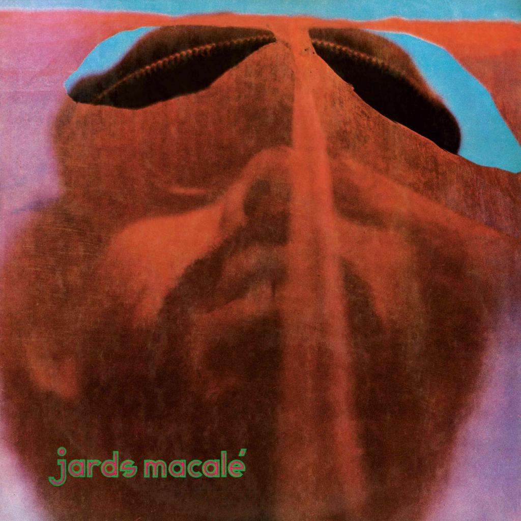 Jards Macalé ~ Jards Macalé (Vinyl) - Djungel & Jazz