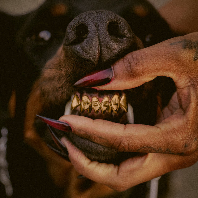 Leon Thomas ~ Mutt Deluxe: Heel