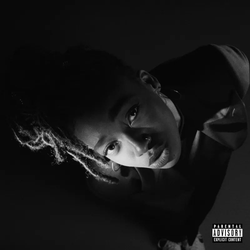 Little Simz ~ Grey Area (Vinyl) - Djungel & Jazz