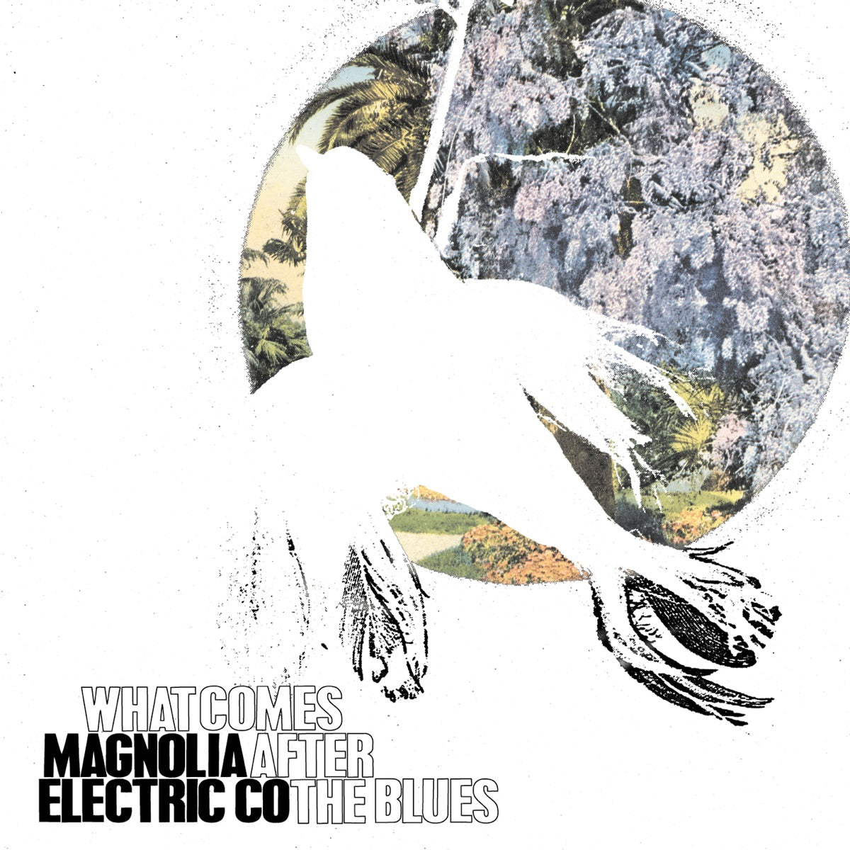 Magnolia Electric Co ~ What Comes After The Blues