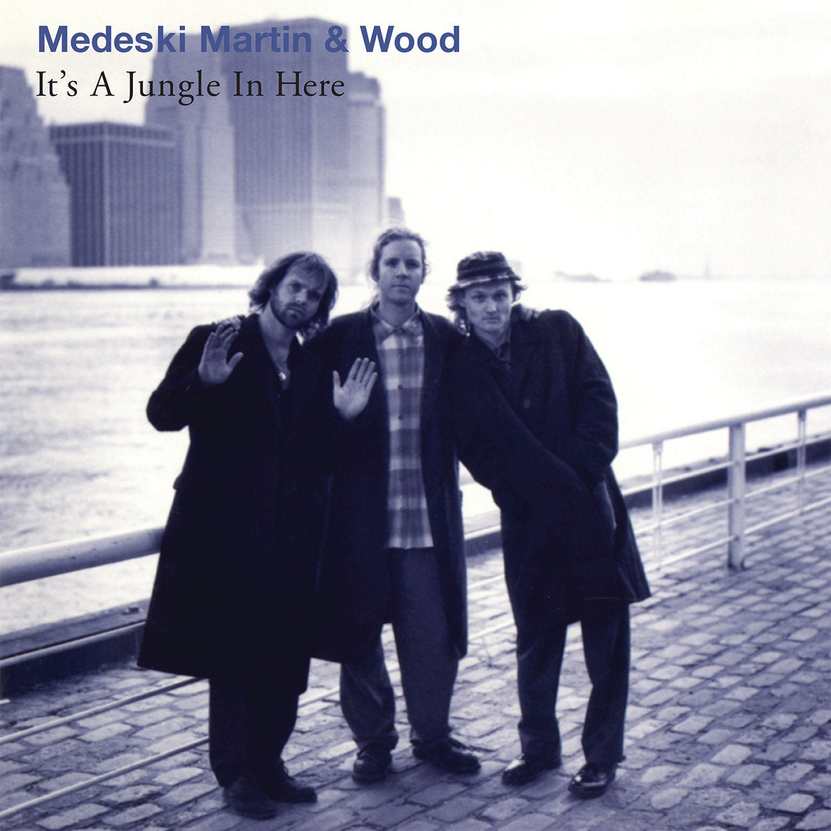 Medeski Martin & Wood ~ It's A Jungle In Here