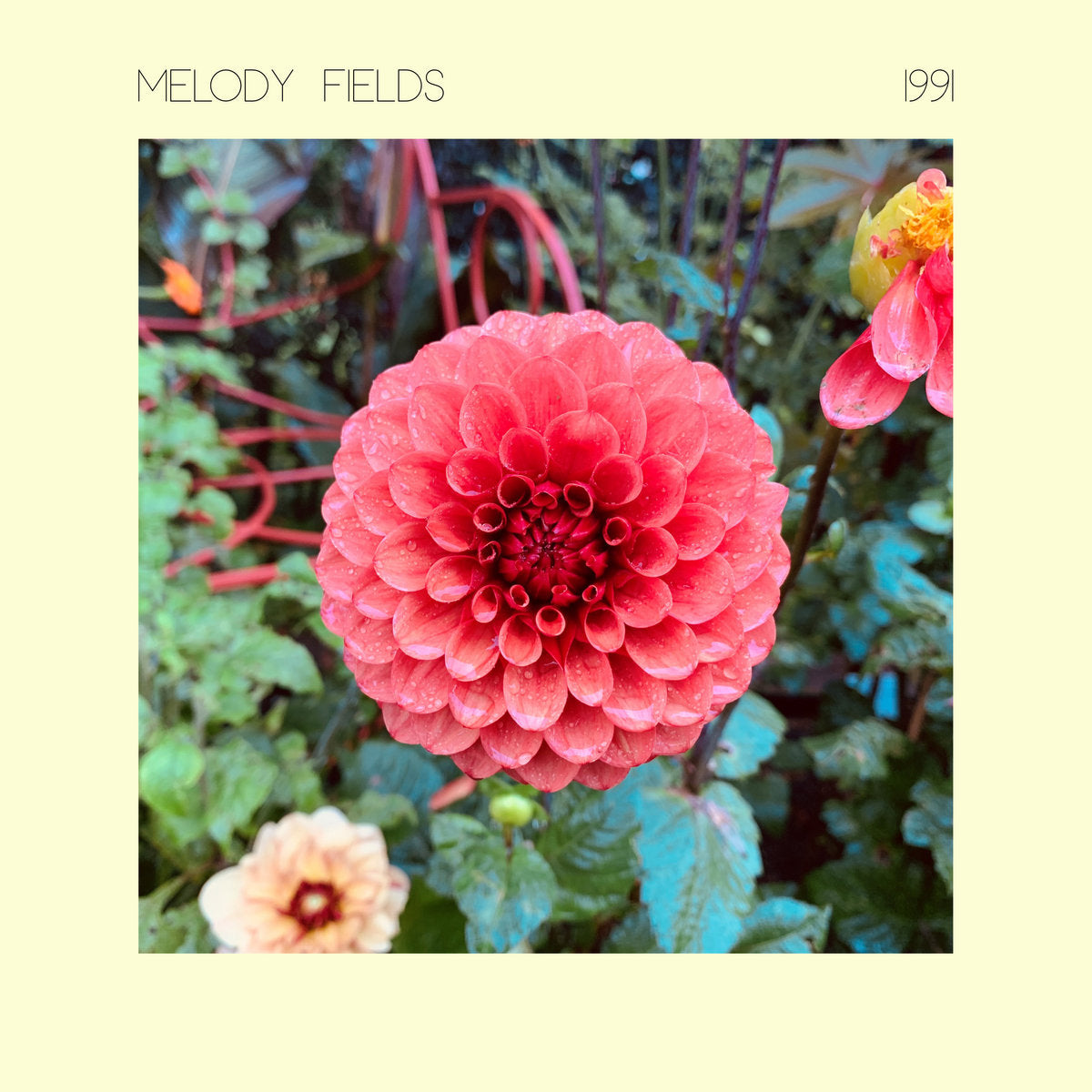 Melody Fields ~ 1991 (Vinyl) - Djungel & Jazz