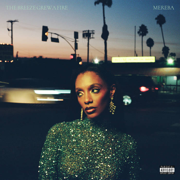 Mereba ~ The Breeze Grew a Fire (Vinyl) - Djungel & Jazz