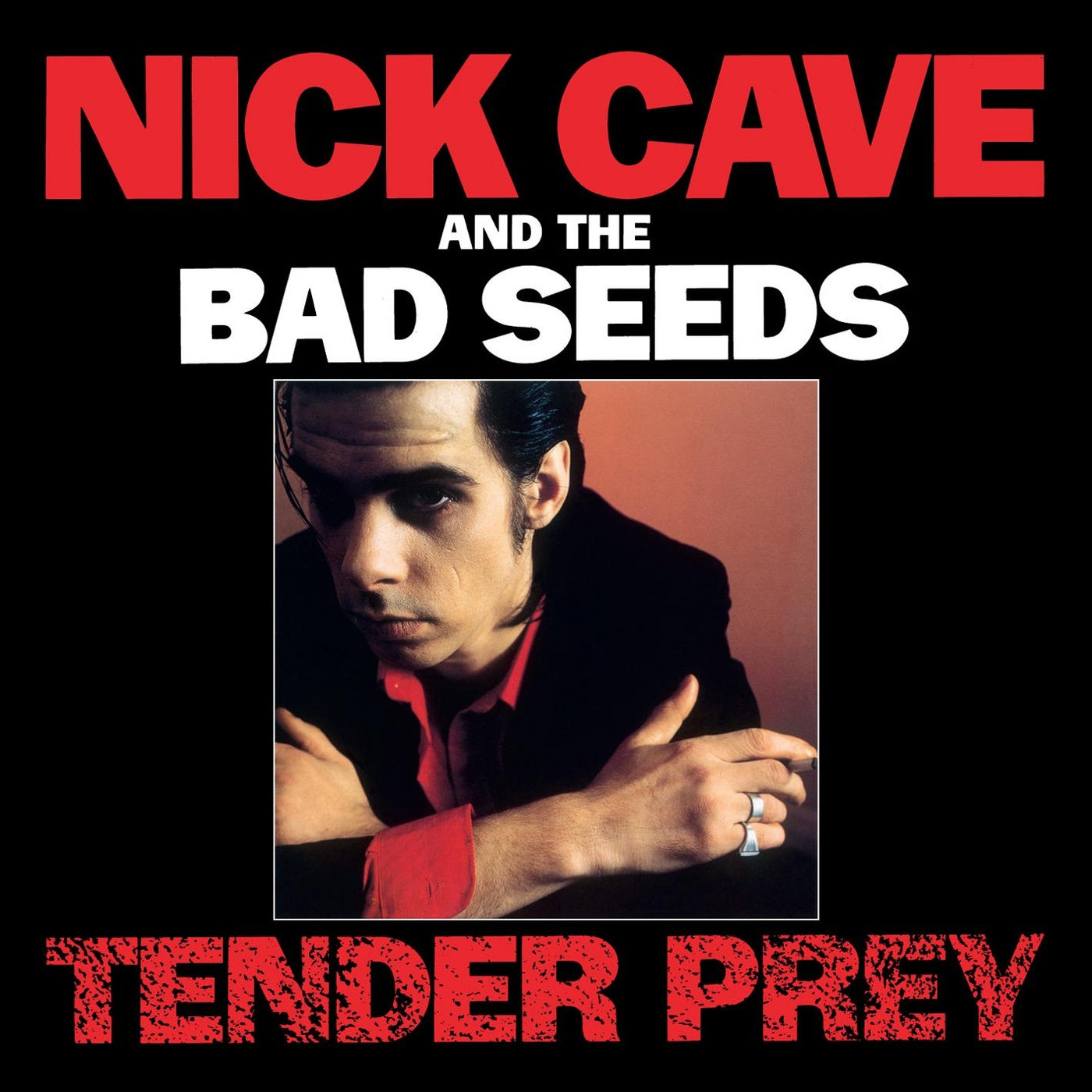 Nick Cave And The Bad Seeds ~ Tender Prey (Vinyl) - Djungel & Jazz