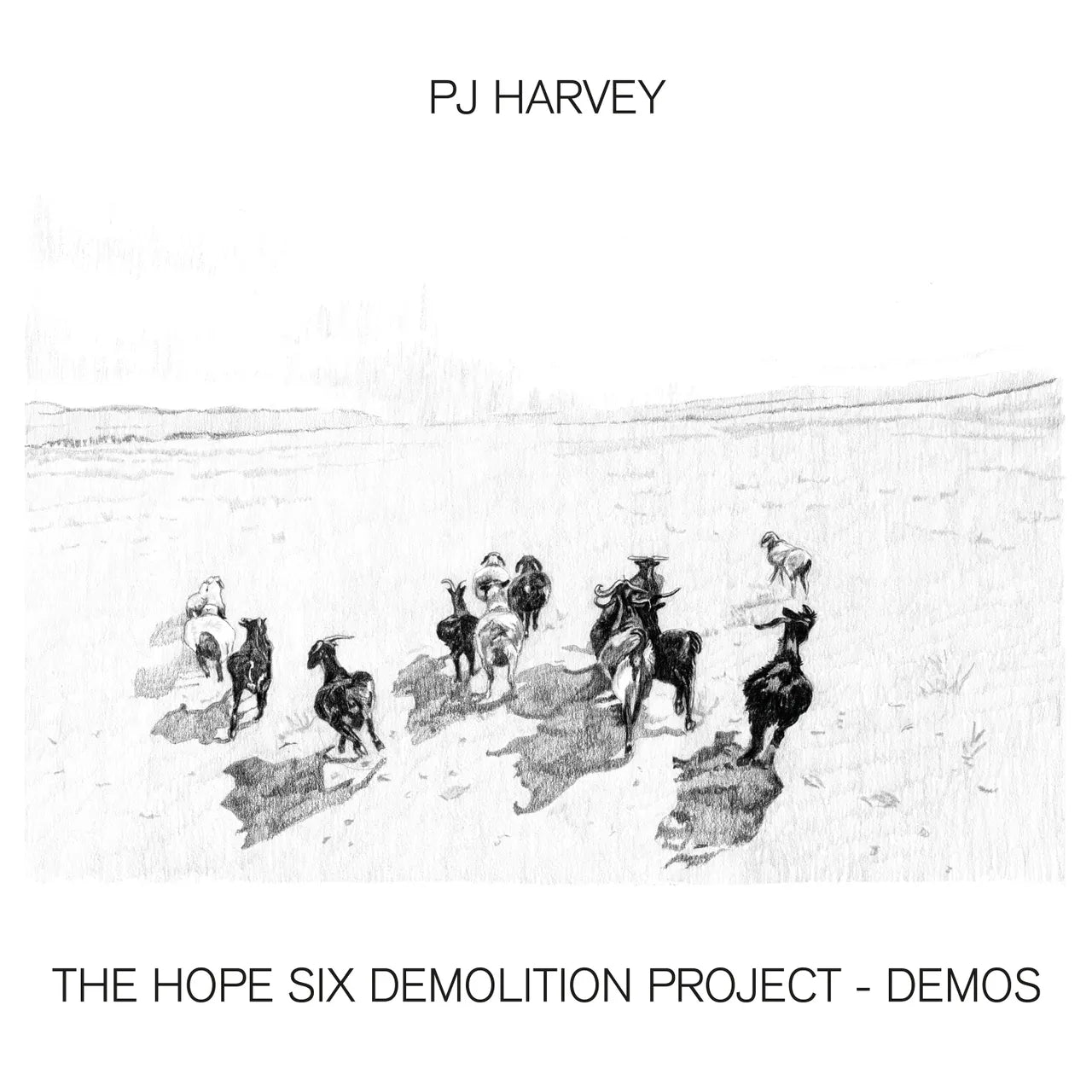 PJ Harvey ~ The Hope Six Demolition Project - Demos