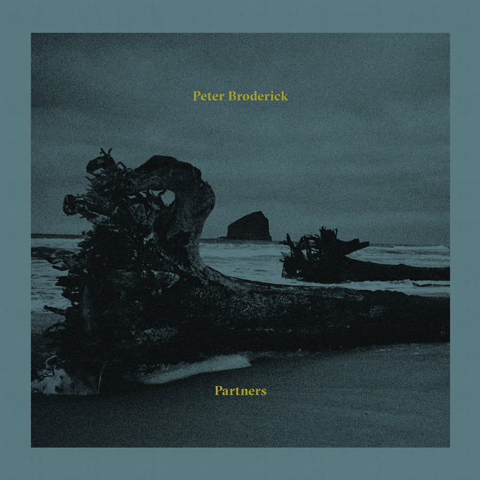 Peter Broderick ~ Partners