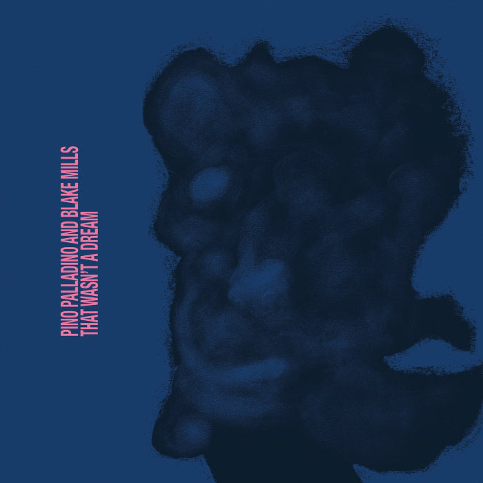 Pino Palladino & Blake Mills ~ That Wasn't A Dream (Vinyl) - Djungel & Jazz