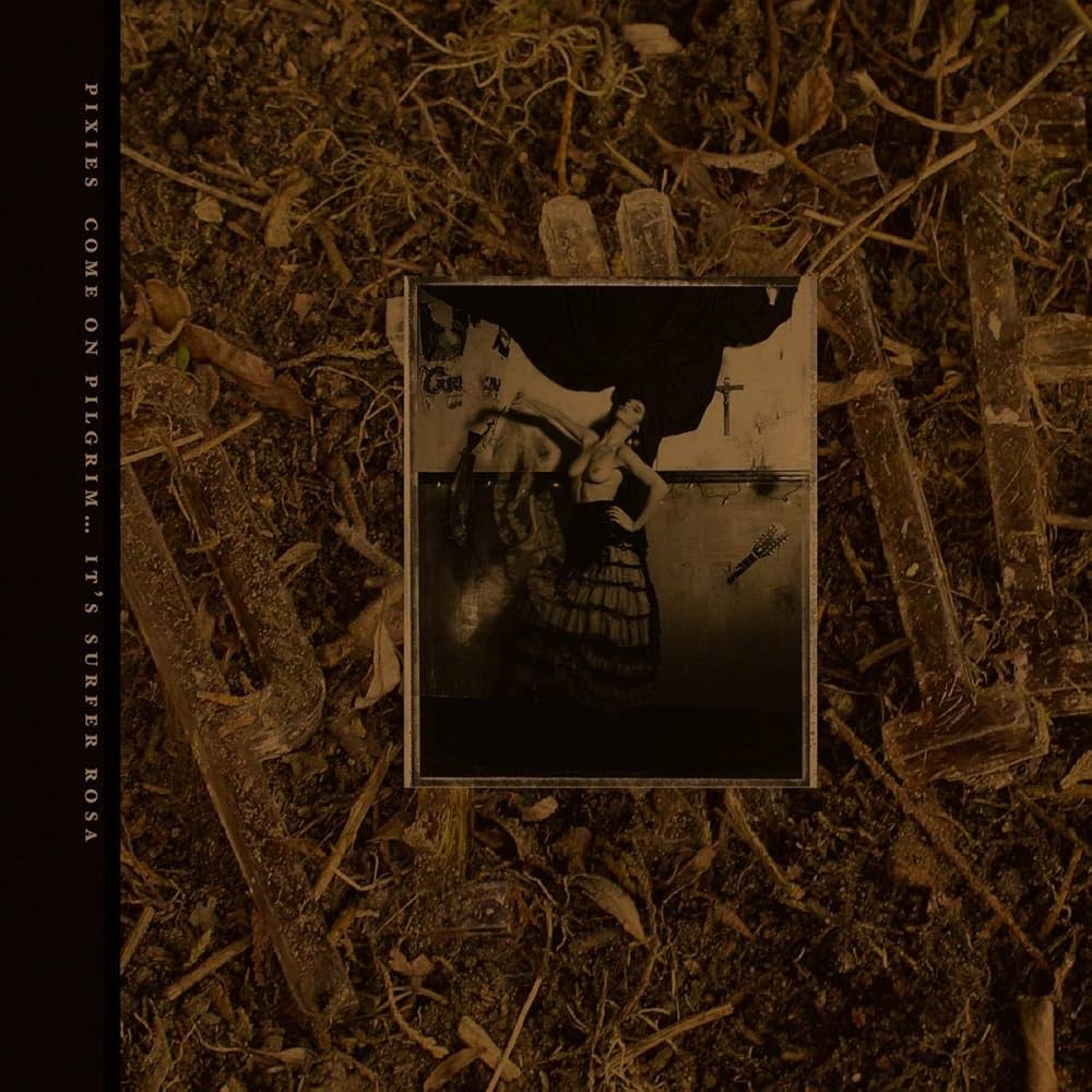 Pixies ~ Come On Pilgrim... It's Surfer Rosa (Vinyl) - Djungel & Jazz