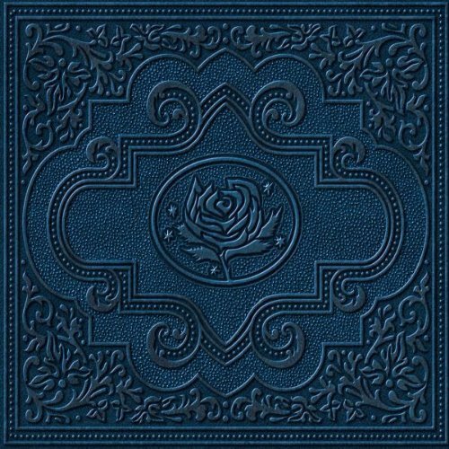 Ryan Adams & The Cardinals ~ Cold Roses (Vinyl) - Djungel & Jazz