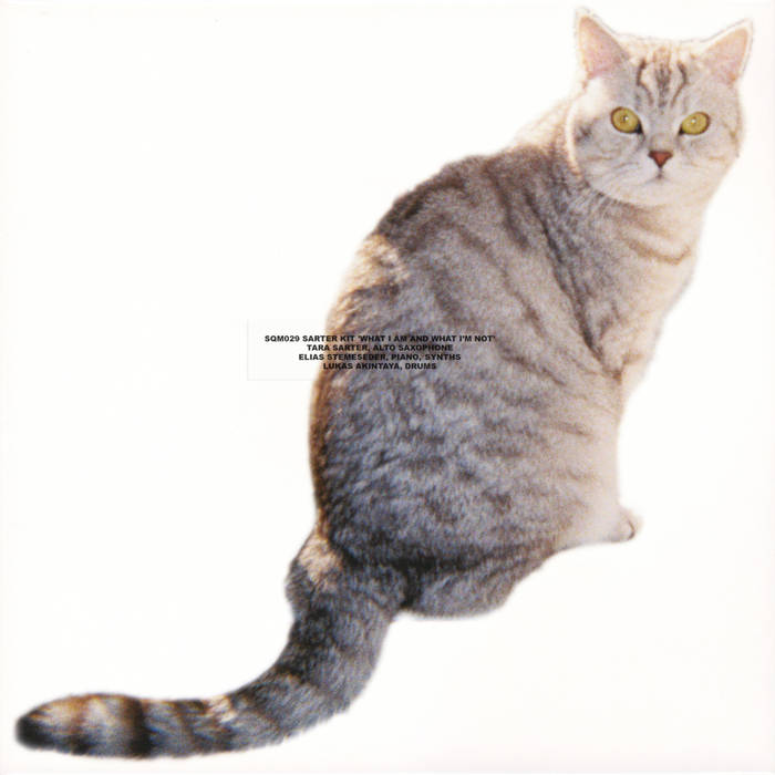 Sarter Kit ~ What I Am And What I’m Not (Vinyl) - Djungel & Jazz