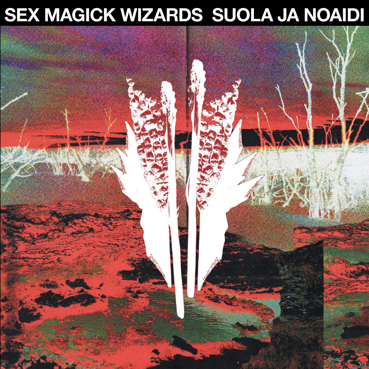 Sex Magick Wizards ~ Suola Ja Noadi (Vinyl) - Djungel & Jazz