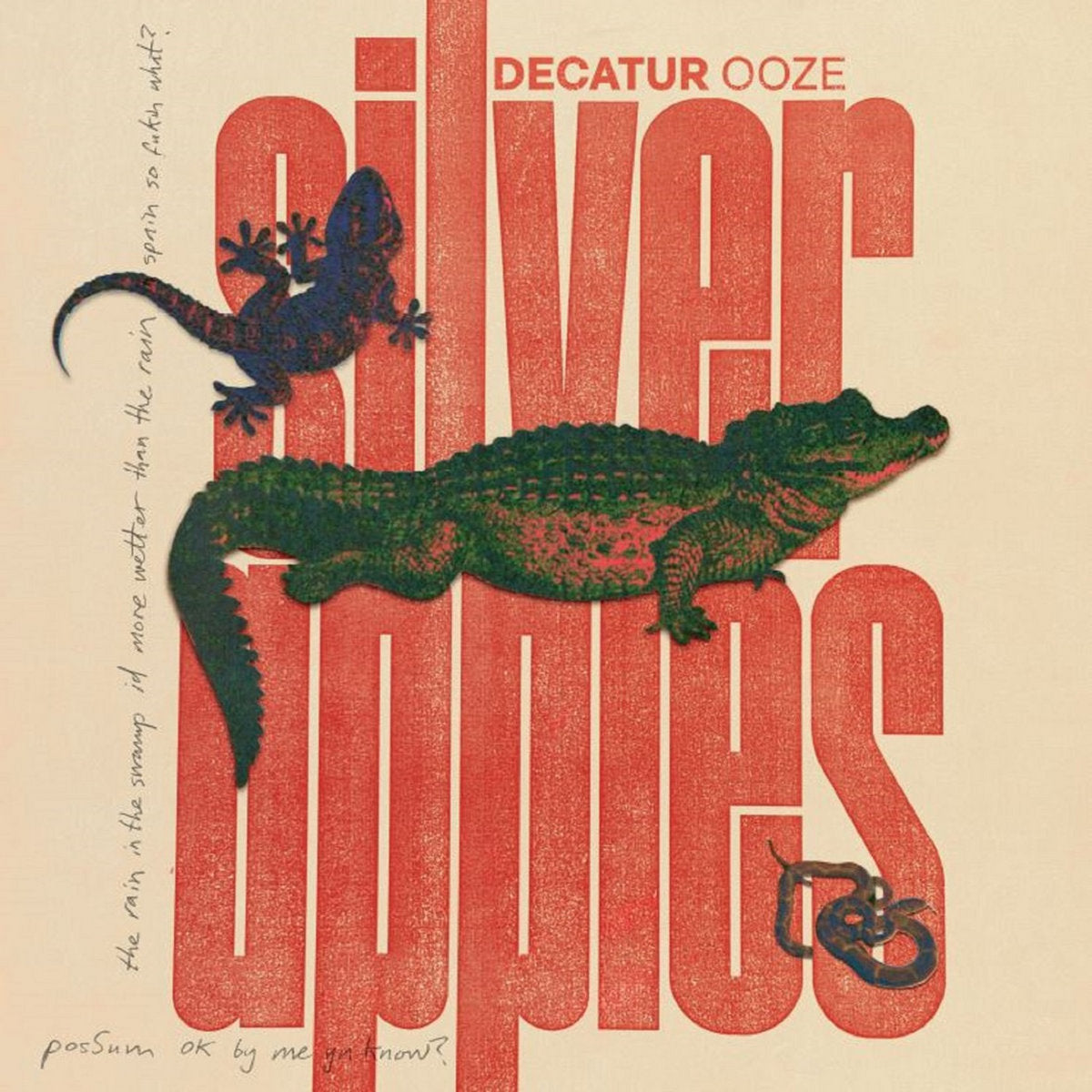 Silver Apples ~ Decatur ooze (Vinyl) - Djungel & Jazz