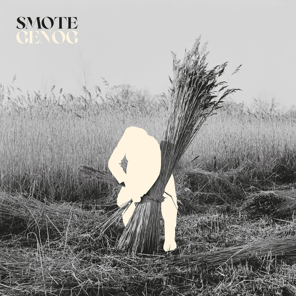 Smote ~ Genog (Vinyl) - Djungel & Jazz