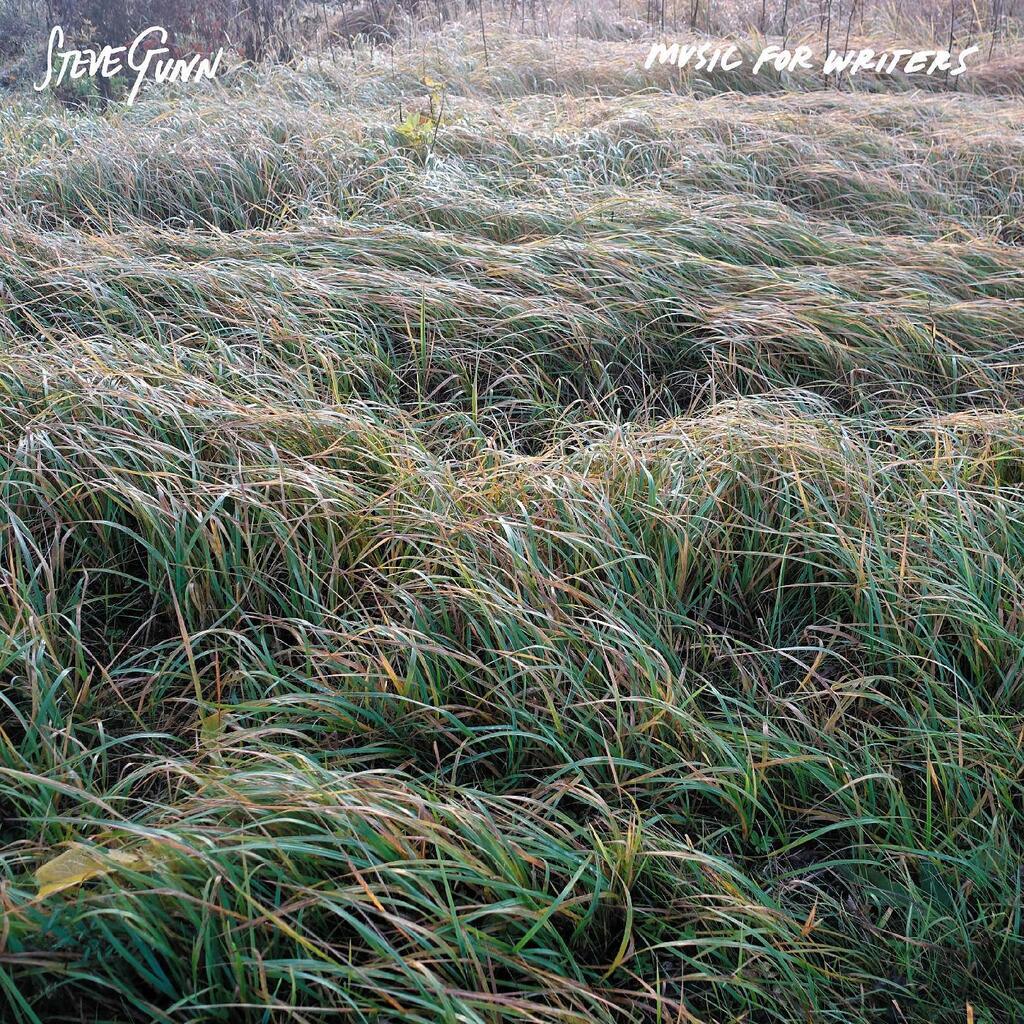 Steve Gunn ~ Music For Writers (Vinyl) - Djungel & Jazz