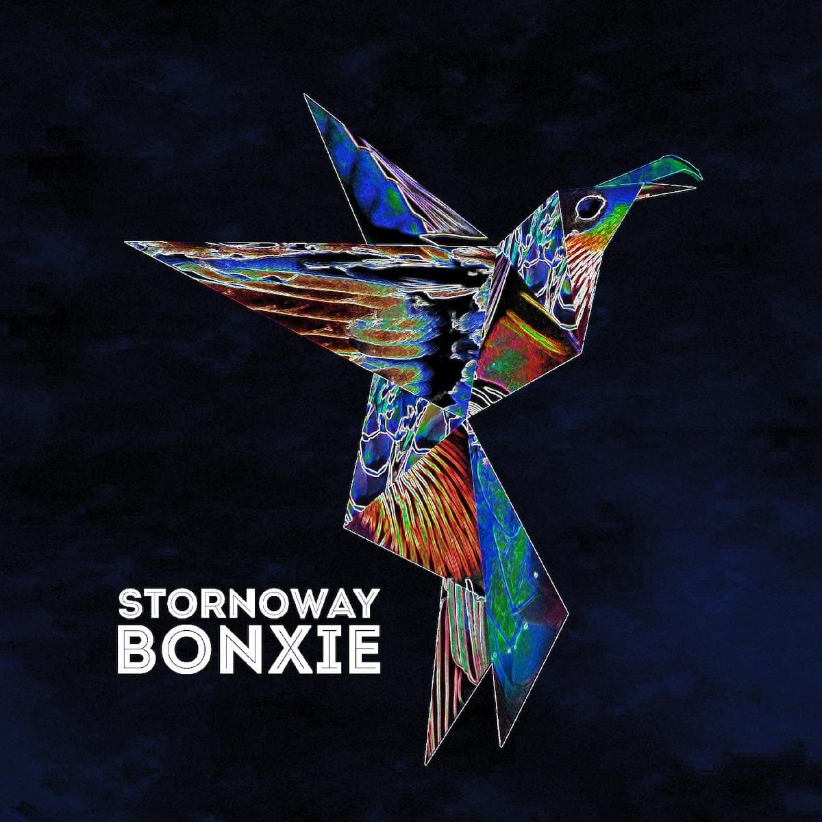 Stornoway ~ Bonxie (Vinyl) - Djungel & Jazz