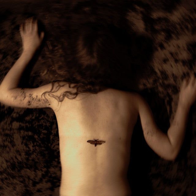 Svart Ridå ~ Aponia (Vinyl) - Djungel & Jazz