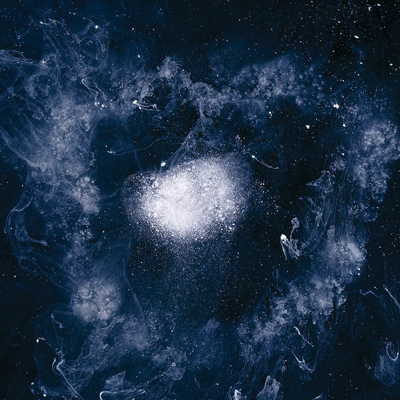 Swans ~ My Father Will Guide Me Up A Rope To The Sky (Vinyl) - Djungel & Jazz