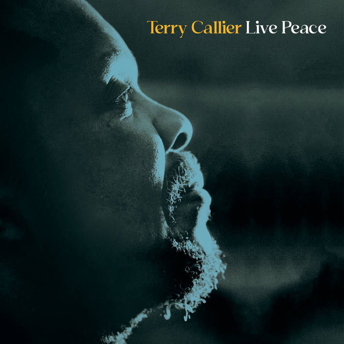 Terry Callier ~ Live Peace (Vinyl) - Djungel & Jazz