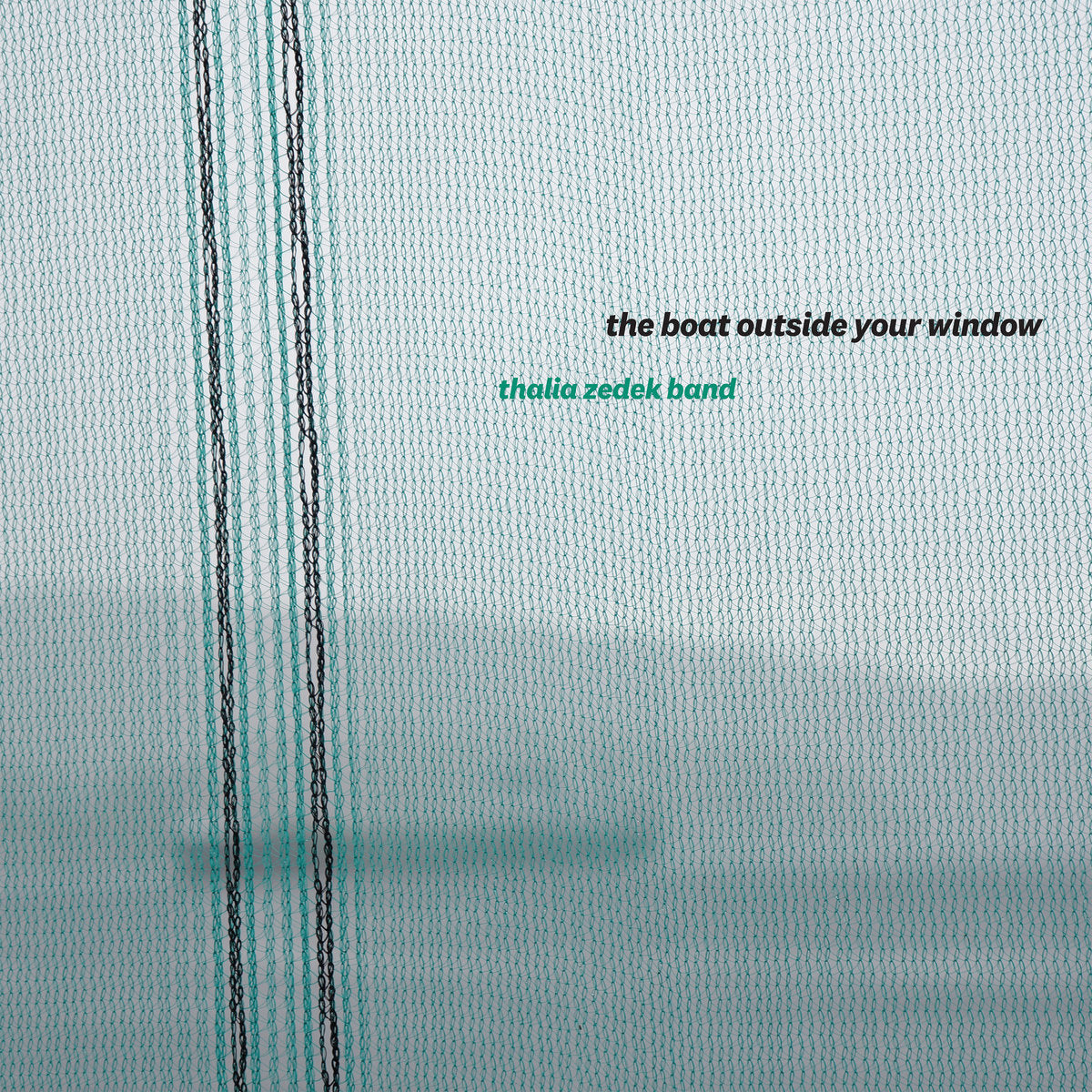 Thalia Zedek Band ~ The Boat Outside Your Window (Vinyl) - Djungel & Jazz