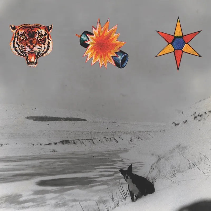 The Beta Band ~ The Three E.P.'s