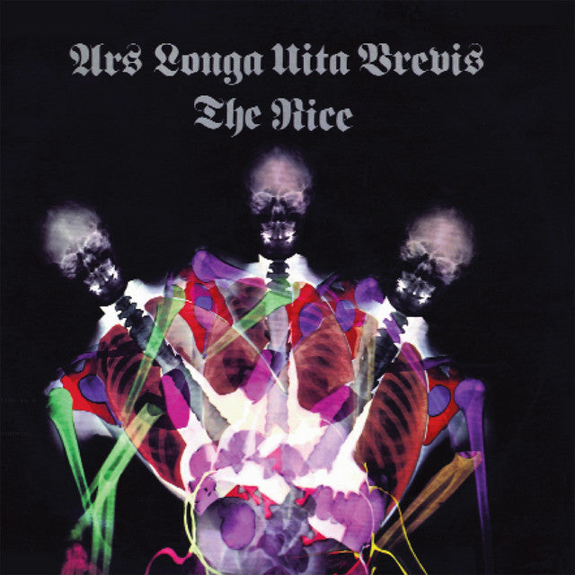 The Nice ~ Ars Longa Vita Brevis (Vinyl) - Djungel & Jazz