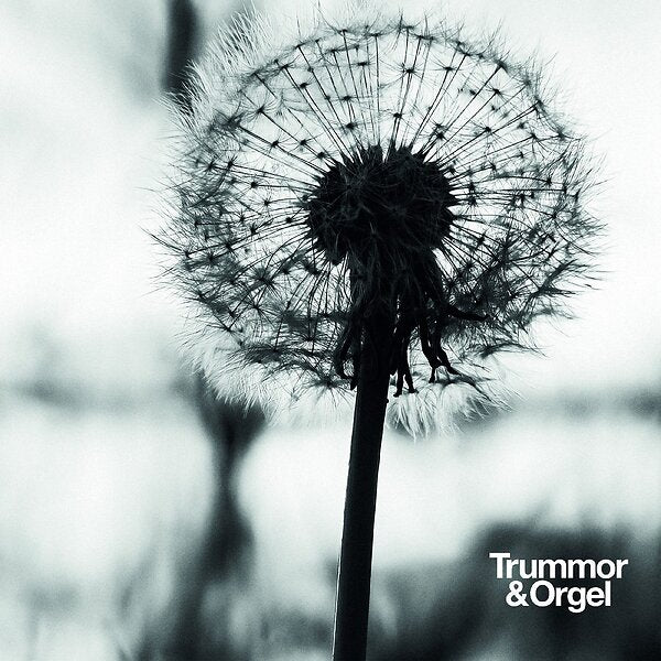 Trummor & Orgel ~ Graceful Degradation / New Beginning (Vinyl) - Djungel & Jazz