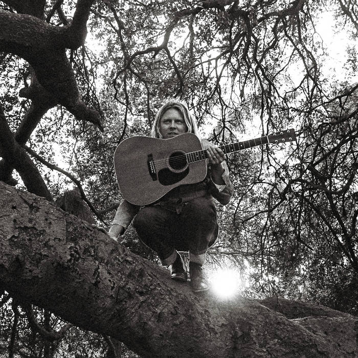 Ty Segall ~ "Hello, Hi" (Vinyl) - Djungel & Jazz