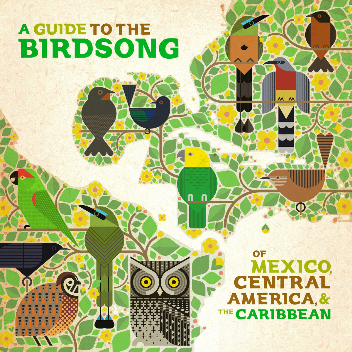 Various ~ A Guide To The Birdsong Of Mexico, Central America, & The Caribbean