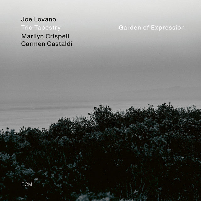 Joe Lovano, Trio Tapestry, Marilyn Crispell, Carmen Castaldi ~ Garden Of Expression (Vinyl) - Djungel & Jazz