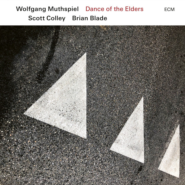 Wolfgang Muthspiel, Scott Colley / Brian Blade - Dance Of The Elders (Vinyl)