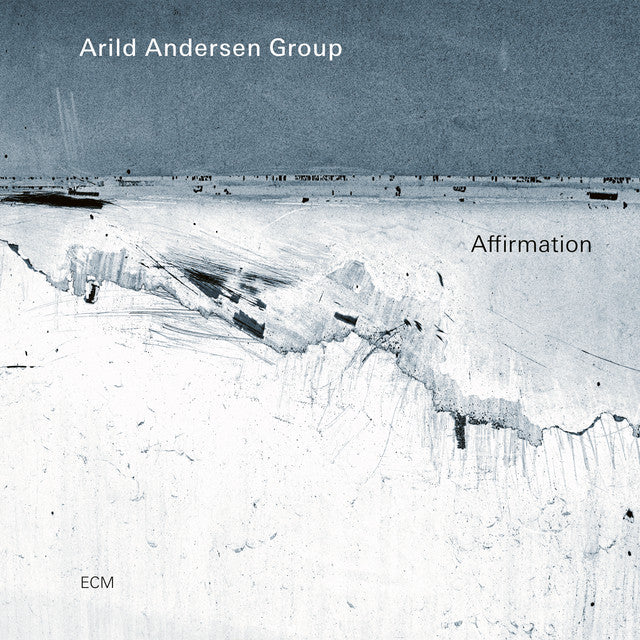 Arild Andersen Group ~ Affirmation (Vinyl) - Djungel & Jazz