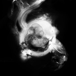 Saffronkeira – Saffronkeira (12in)