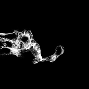 Saffronkeira – Tourette (LP)