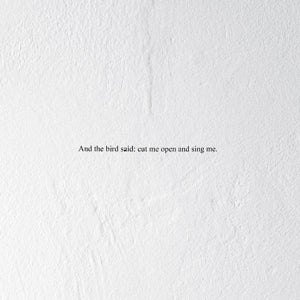 Prairie ~ And the Bird Said: Cut Me Open and Sing Me (Vinyl) - Djungel & Jazz