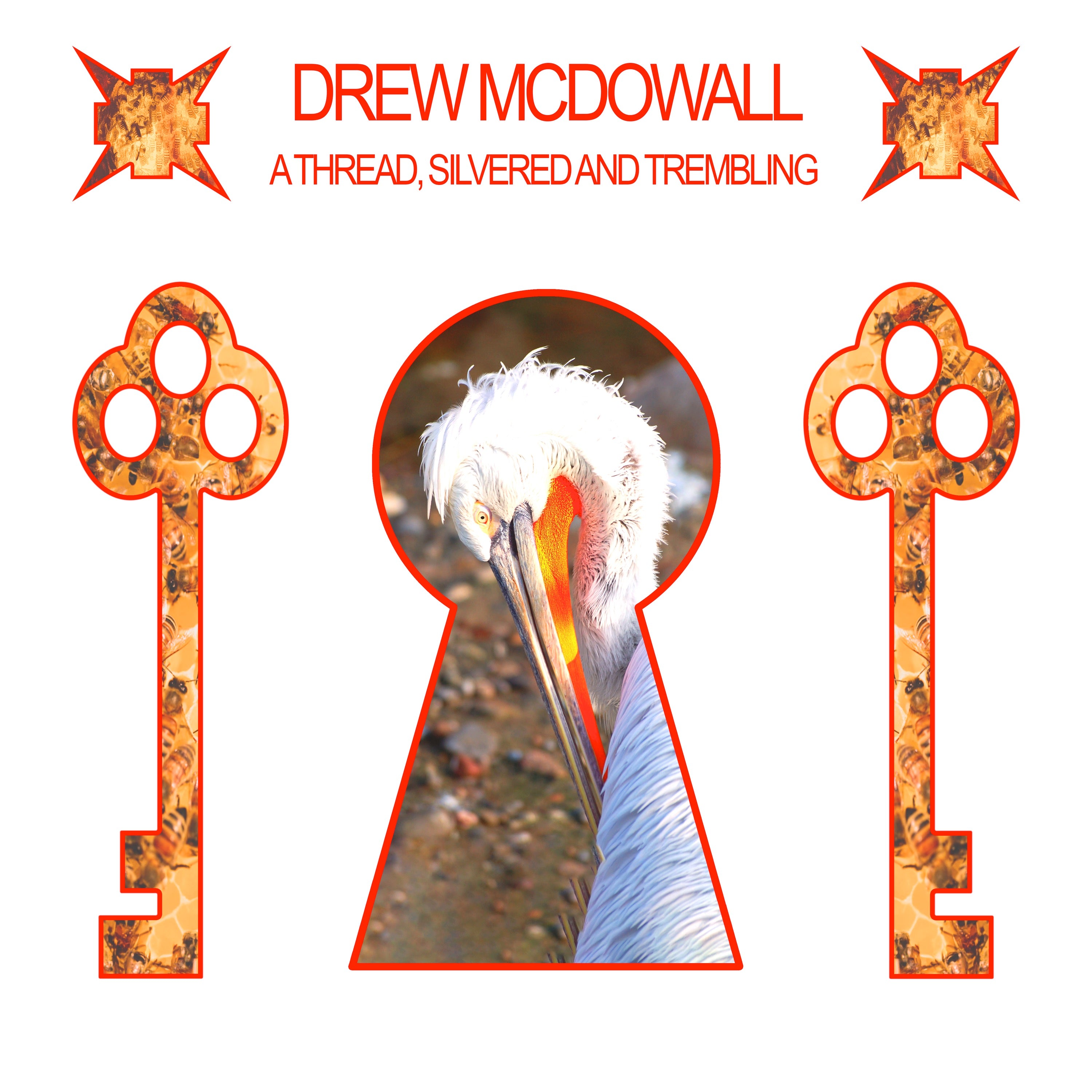 Drew McDowall ~ A Thread, Silvered and Trembling (Vinyl) - Djungel & Jazz