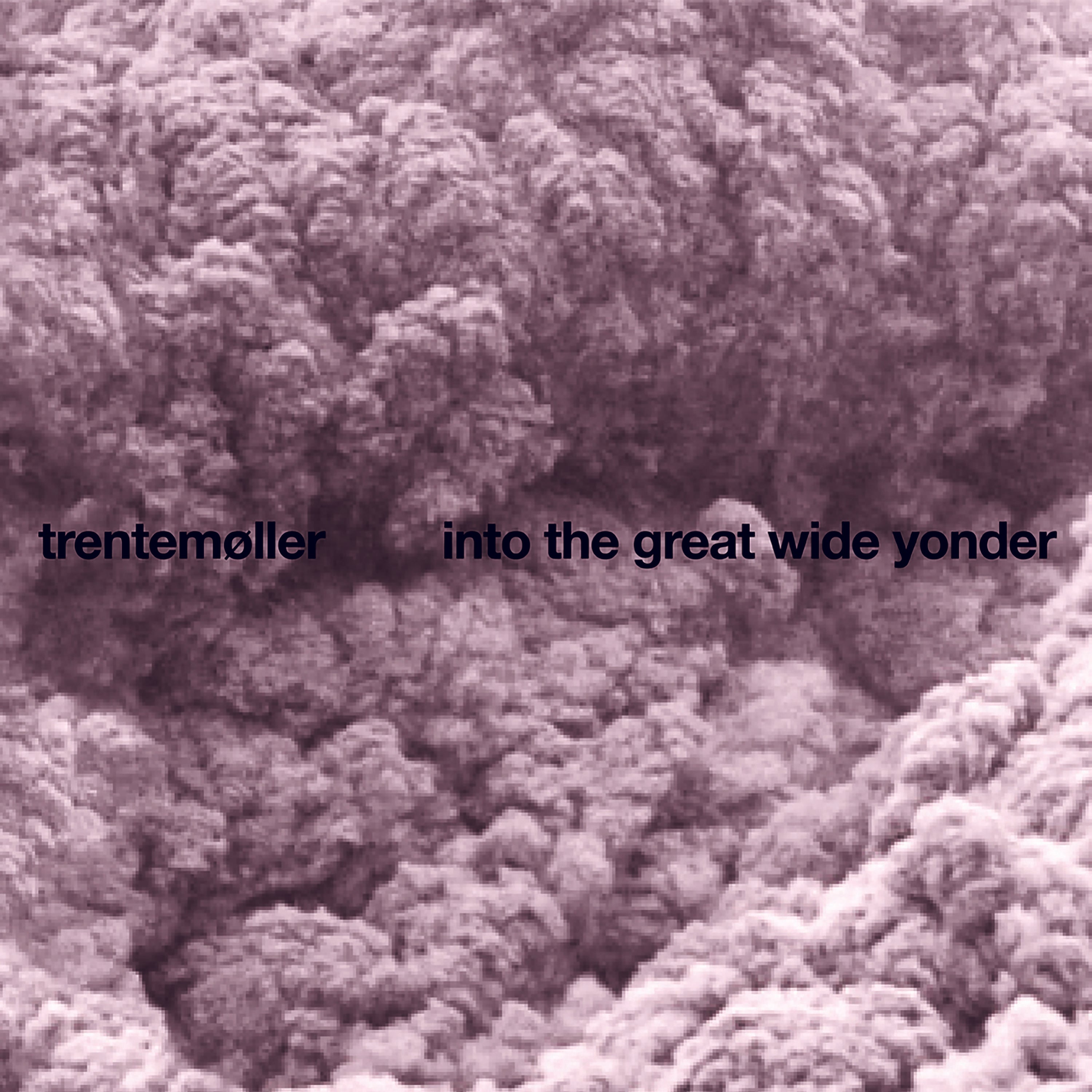 Trentemøller ~ Into The Great Wide Yonder (Vinyl) - Djungel & Jazz