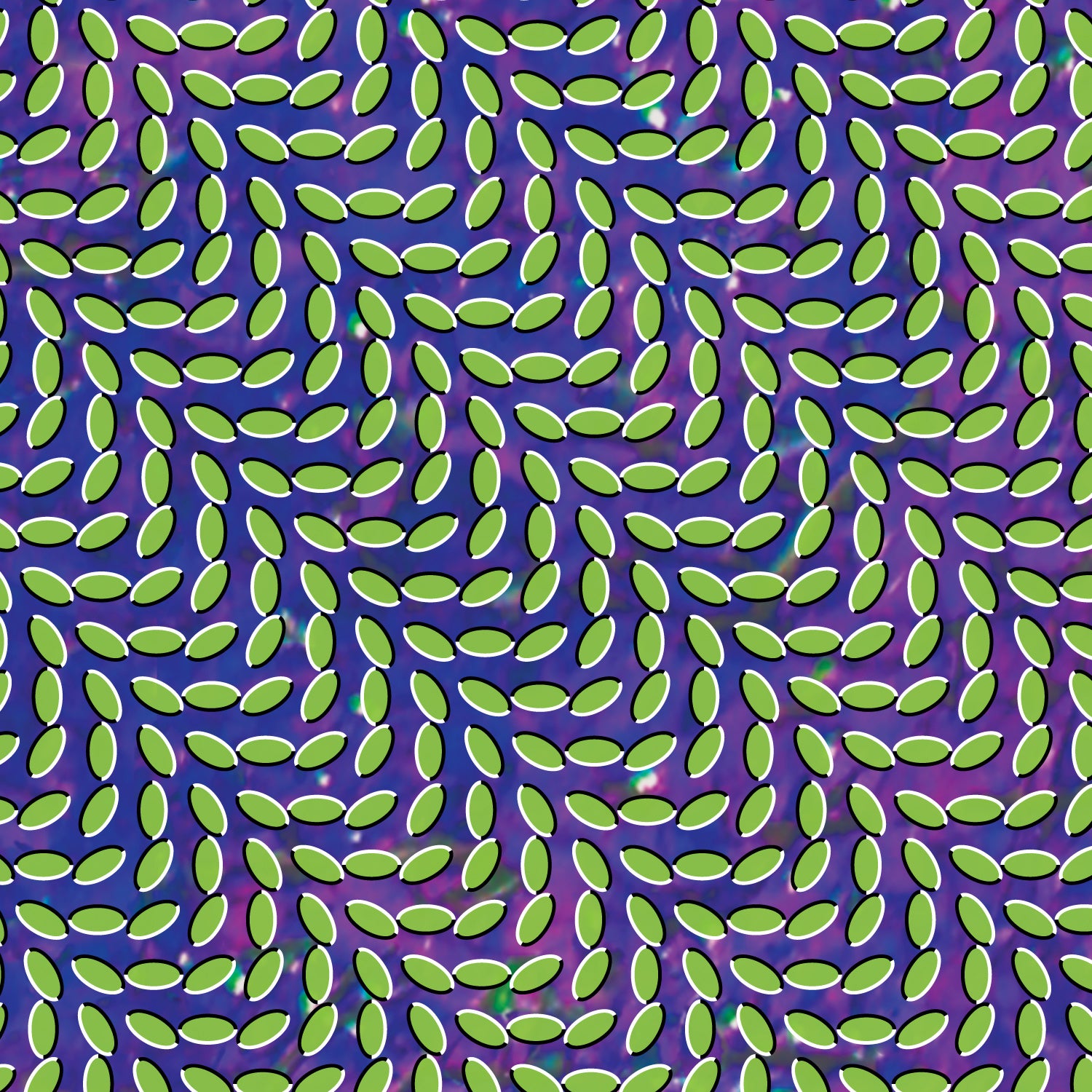 Animal Collective ~ Merriweather Post Pavilion (Vinyl) - Djungel & Jazz