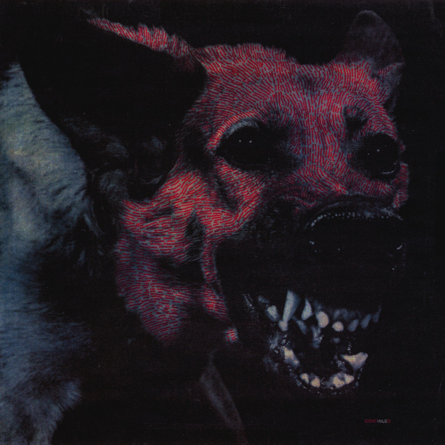 Protomartyr  ~ Under Color Of Official Right (Vinyl) - Djungel & Jazz