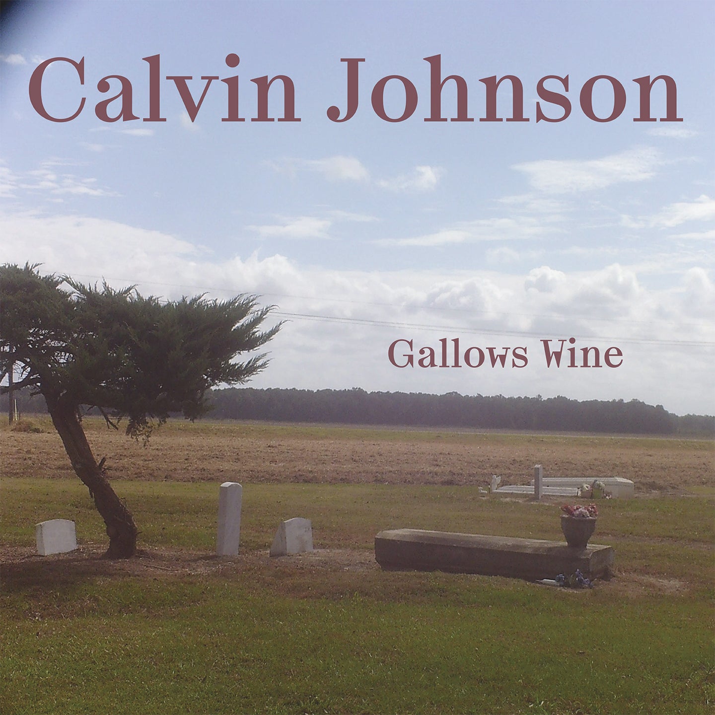 Calvin Johnson ~ Gallows Wine (Vinyl) - Djungel & Jazz