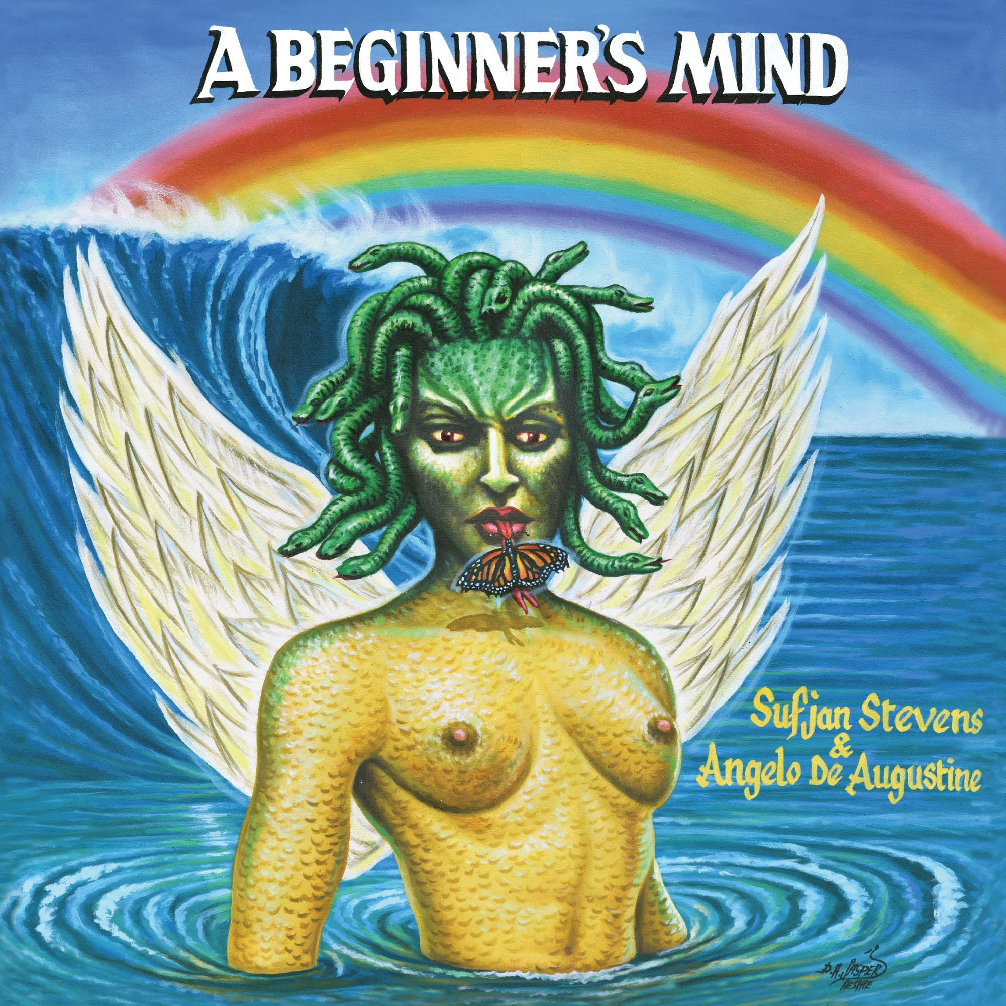 Sufjan Stevens & Angelo De Augustine ~ A Beginner's Mind (Vinyl) - Djungel & Jazz