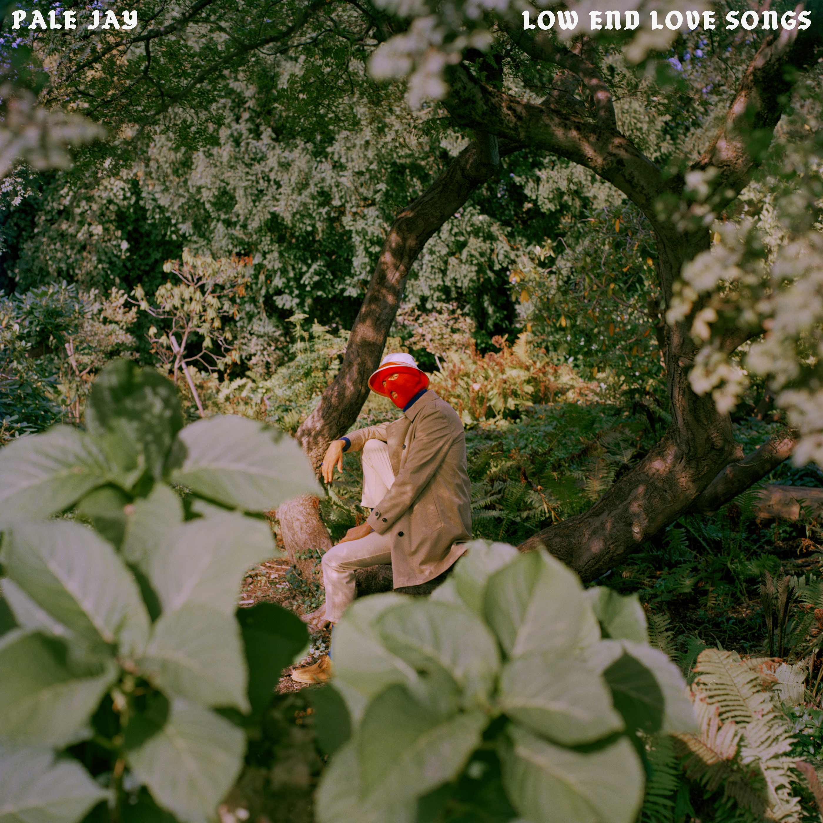 Pale Jay ~ Low End Love Songs (Vinyl) - Djungel & Jazz