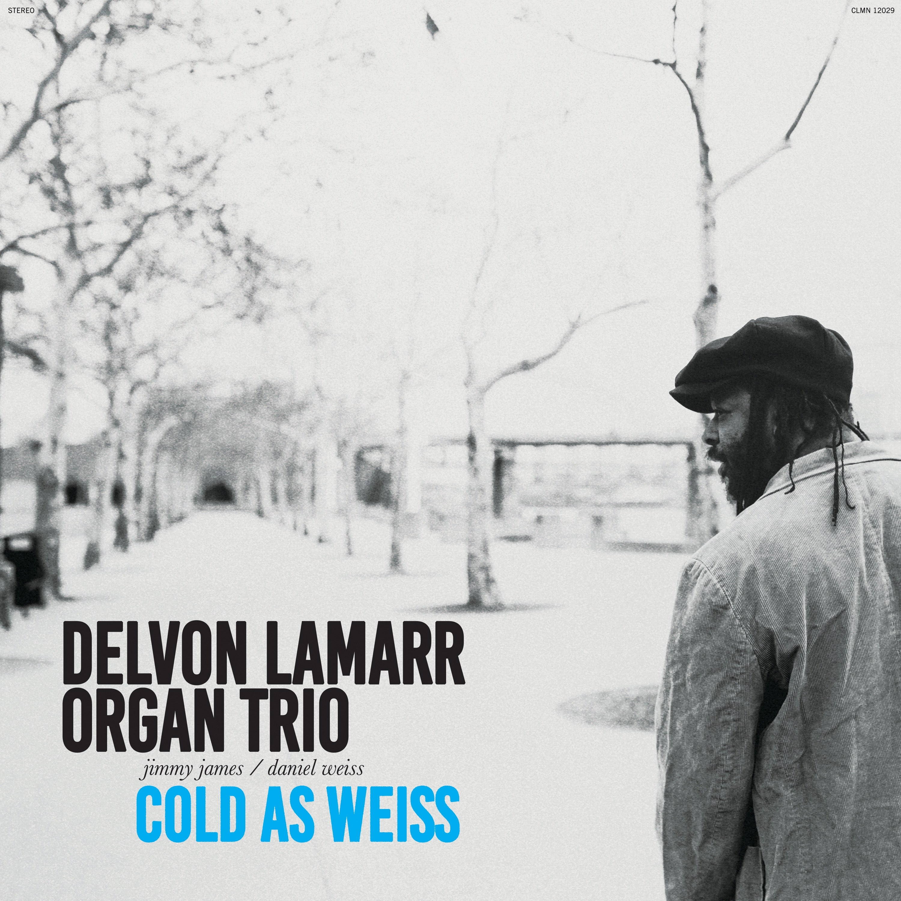 Delvon Lamarr Organ Trio ~ Cold As Weiss (Vinyl) - Djungel & Jazz