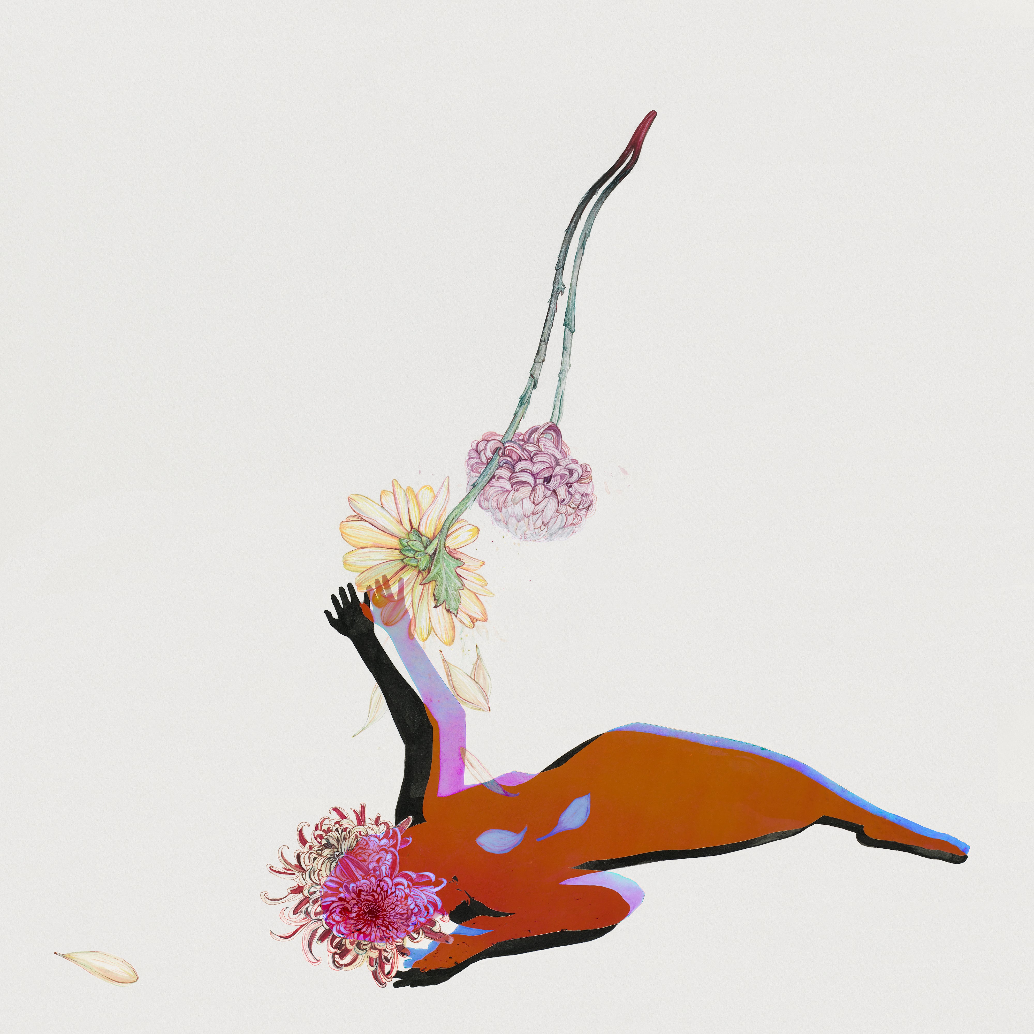 Future Islands ~ The Far Field (Vinyl) - Djungel & Jazz