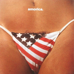 The Black Crowes ~ Amorica. (Vinyl) - Djungel & Jazz